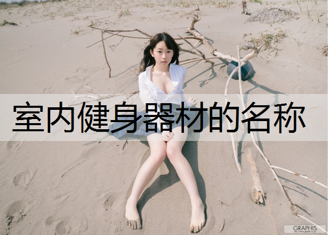 室内健身器材的名称