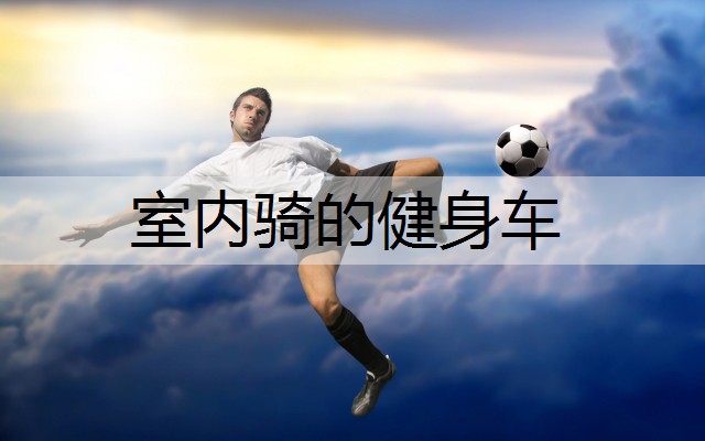 室内骑的健身车
